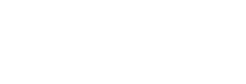 Assicurazioni D